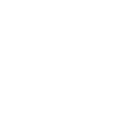 Thematic Glossary