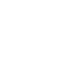 Quiz and Learning Box